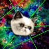 Trippy Kitty!