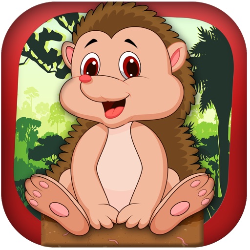 Jumping Hedgehog Adventure Dash iOS App