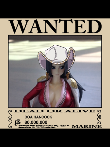 OP Poster Maker - An One Piece style pirate wanted poster maker