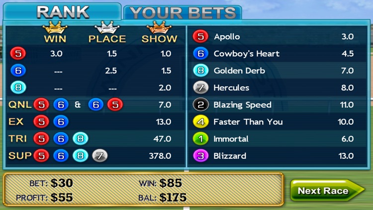 Virtual Horse Racing 3D Lite screenshot-4