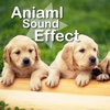 Animal Sounds Zoo HD