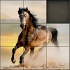 Aah! Games 4 all - Horses Slide Puzzle