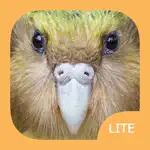 Birds of New Zealand LITE App Cancel