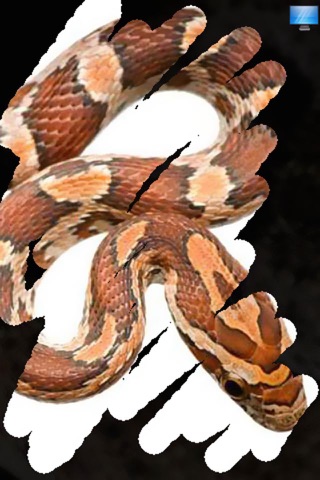 Afraid of Snakes screenshot 3