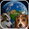 Amazing Earth 3D: Dogs!