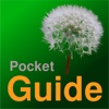 Pocket Guide UK Weeds