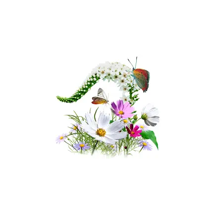 Photo for Chromecast Читы