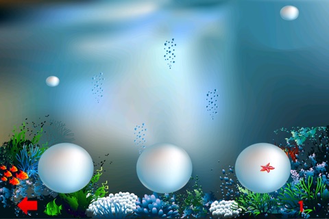 A Starfish with Attitude Finding Pearls in Paradise screenshot 3