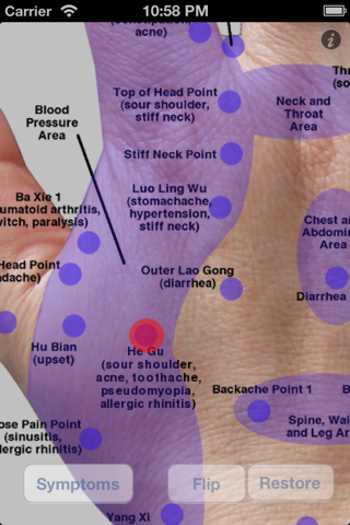 Hand Massage Map Free screenshot 2