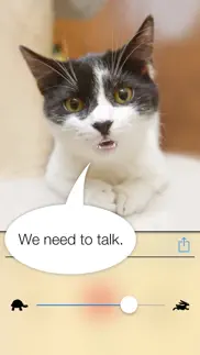 talkify pets iphone screenshot 2