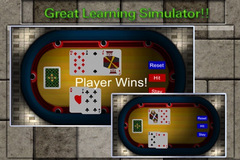 Classic 21 Blackjack Simulator screenshot 2