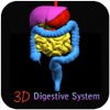 3D Digestive