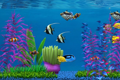Colorful Aquarium screenshot 2
