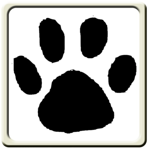 Games for Cats Icon