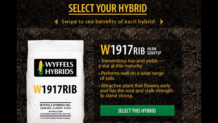 Plant Wyffels Hybrids