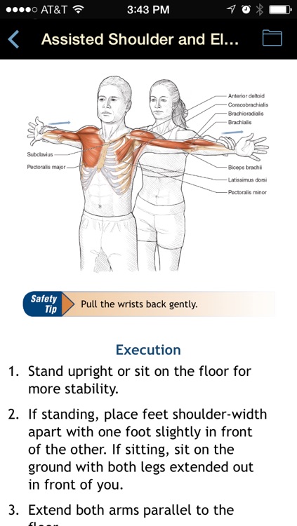 Stretching Anatomy