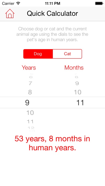 Pet Age Calculator: Convert Pet Age to Human Years