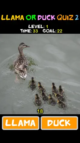 Game screenshot Llama or Duck Quiz 2 apk