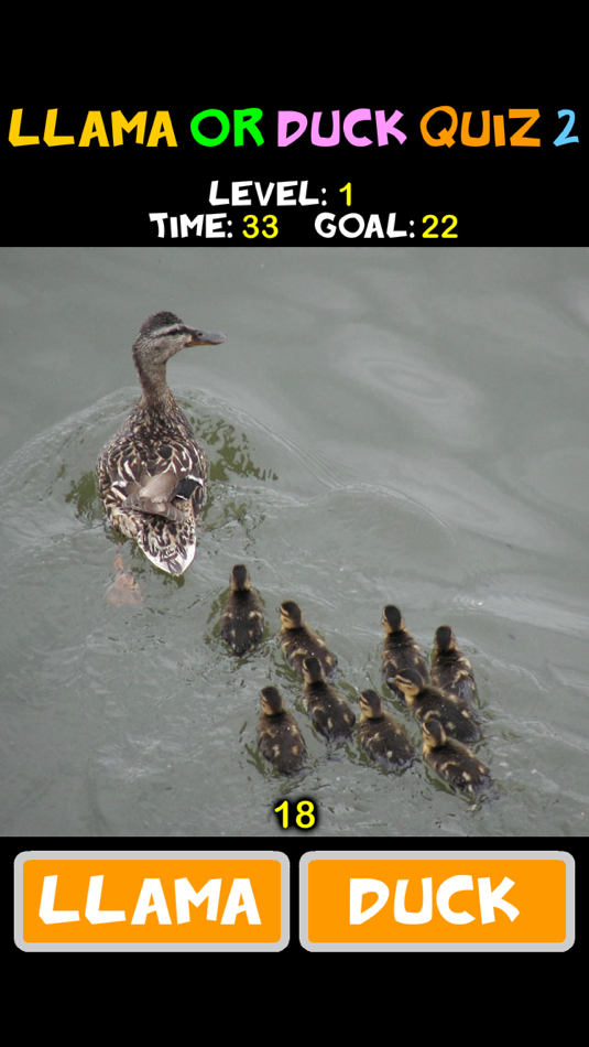 #2. Llama or Duck Quiz 2 (iOS) Podle: Yuan Ruan