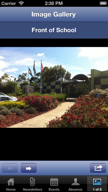 Wedge Park Primary School