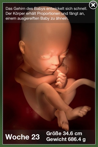 Pregnancy Progress: baby journal + medical info screenshot 2