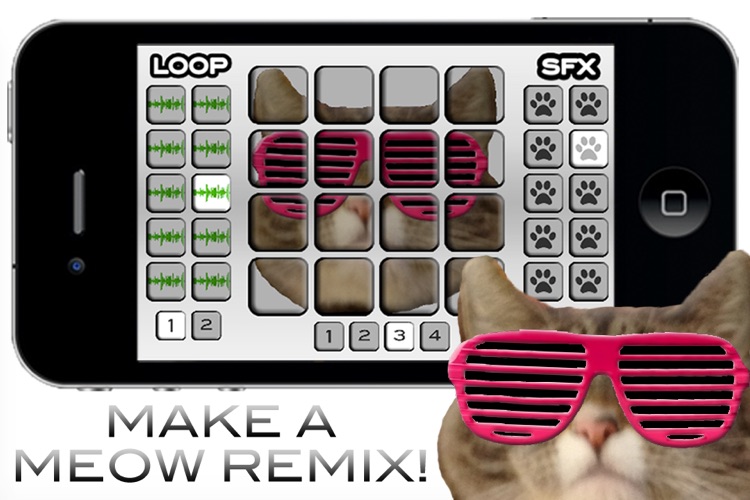 Dubstep Kitty