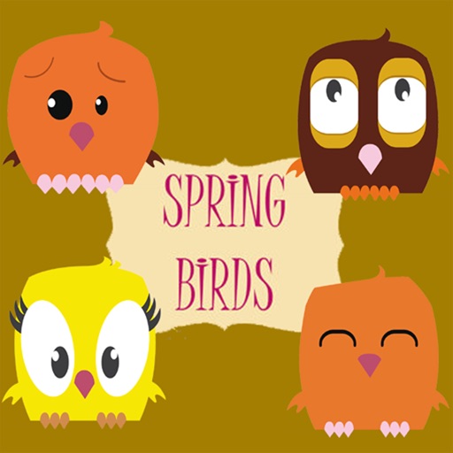 Spring Birds Mission Rescue. The hardest equilibrium physics free puzzle for kids and adults - HD iOS App