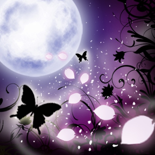 Dazzling Night iOS App