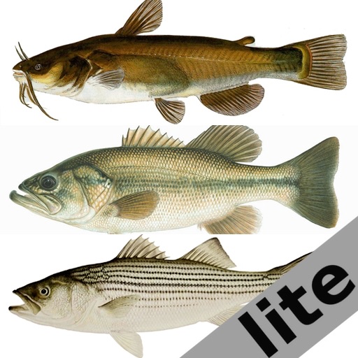 Freshwater Fish ID South lite iOS App