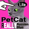 Russian blue Petting Cat 3DREAL Lite