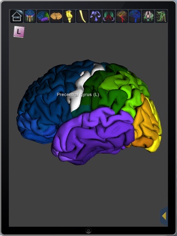 The Complete Human Brain PRO screenshot 4