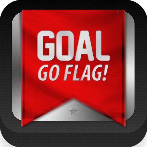 Goal Go Flag! icon