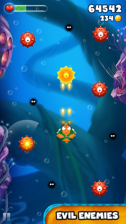Bellyfish