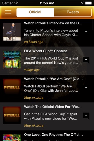 Pitbull screenshot 4