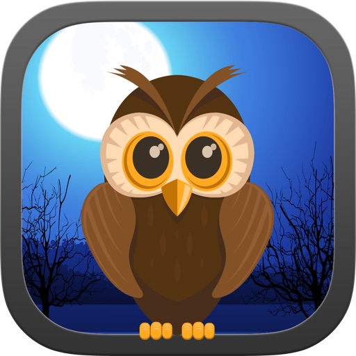 Dark Night Owl Shooter Game icon