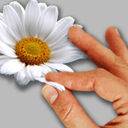 Picking Daisies Icon