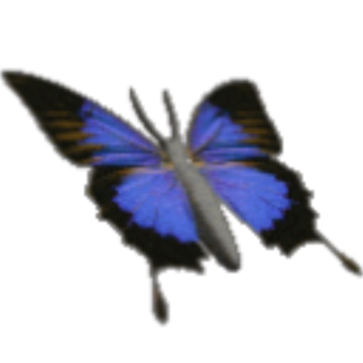 FlutterFly Icon