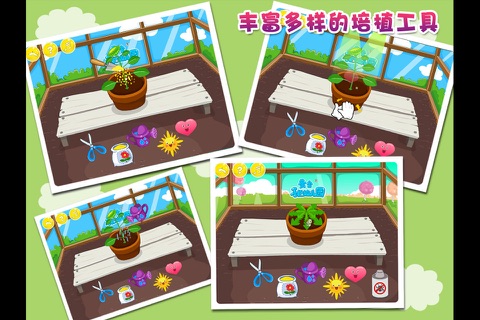 黄金花园（16种植物） screenshot 3