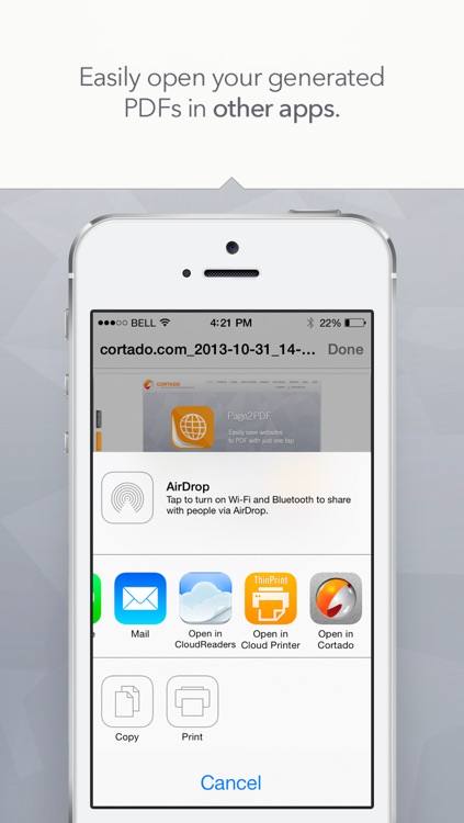 Page2PDF screenshot-3