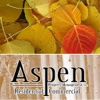 Aspen Property Mgmt