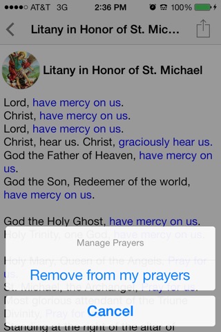 Saint Michael Prayers screenshot 3