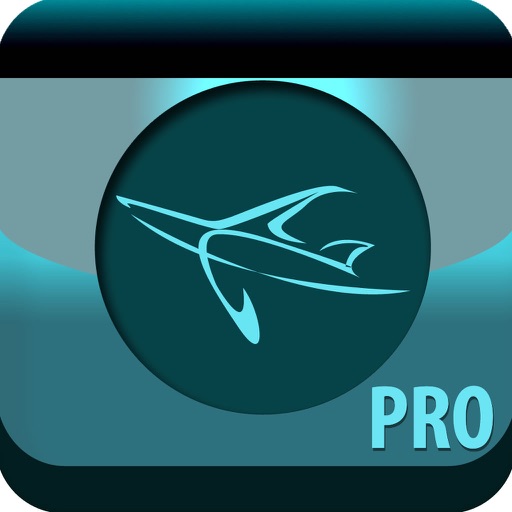 Air Travel Pro HD- Flight Tracker (all airports) icon