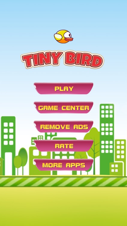 Tiny Bird - The Adventure of Flappy Flyer