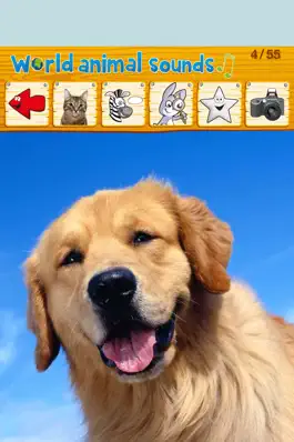 Game screenshot World Animal Sounds mod apk