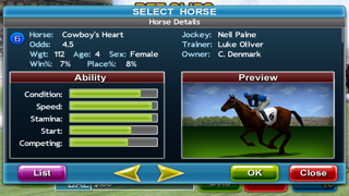 Virtual Horse Racing 3D Lite screenshot 2