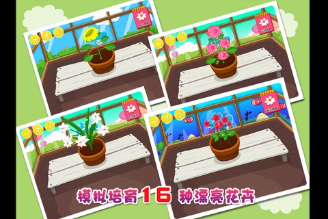 黄金花园（16种植物） screenshot 2