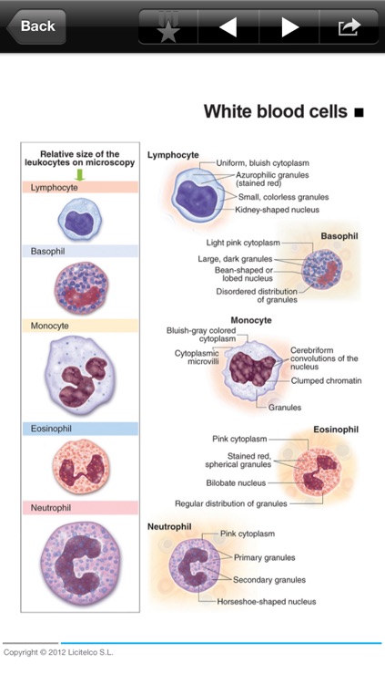 Miniatlas Hematology