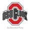 Almost every year, the Big 10 college football champion is determined by one game - Ohio State vs
