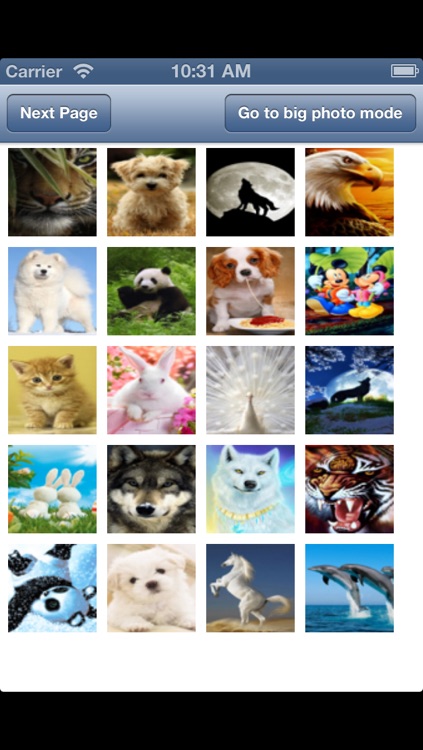 lovely Animal Wallpapers