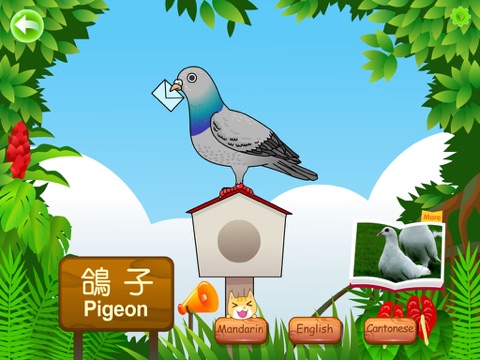 Screenshot #6 pour Birds for Kids HD - FREE Game